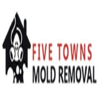 five towns mold removal image 1
